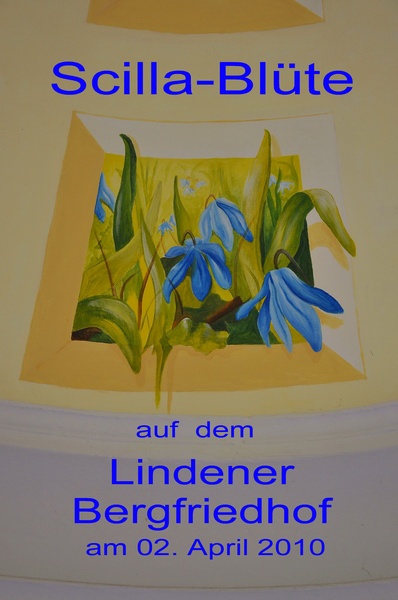 Scilla   001.jpg